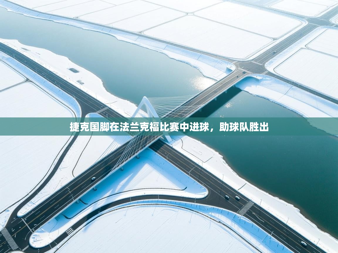 捷克国脚在法兰克福比赛中进球，助球队胜出  第1张