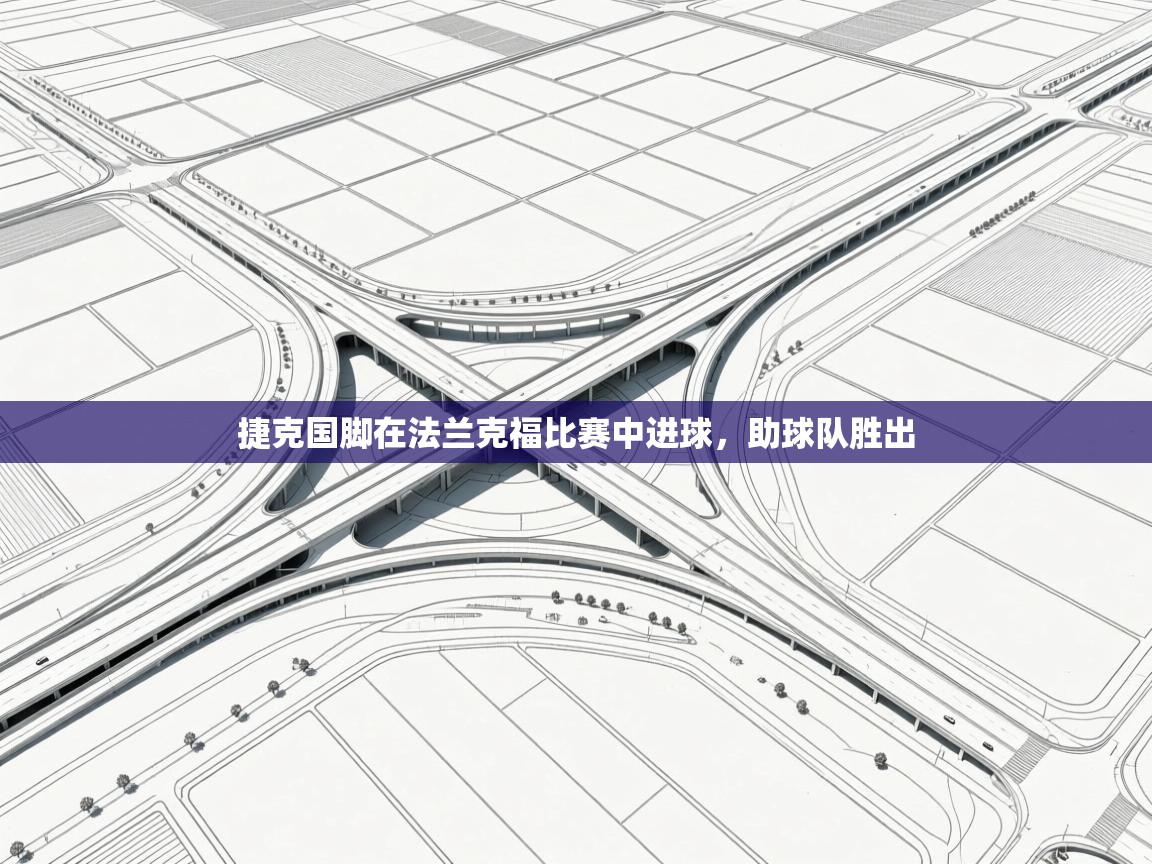 捷克国脚在法兰克福比赛中进球，助球队胜出  第2张